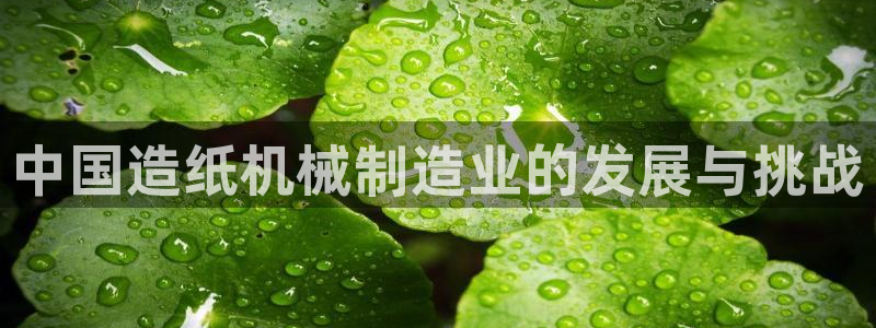 鸿运北斗监控平台