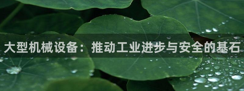鸿运体育在线平台
