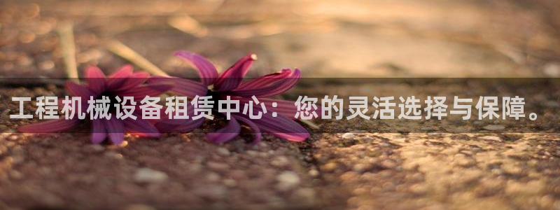 鸿运服务平台是什么