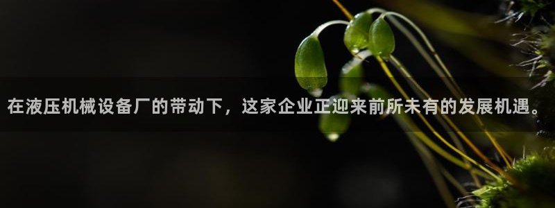 鸿运展业平台