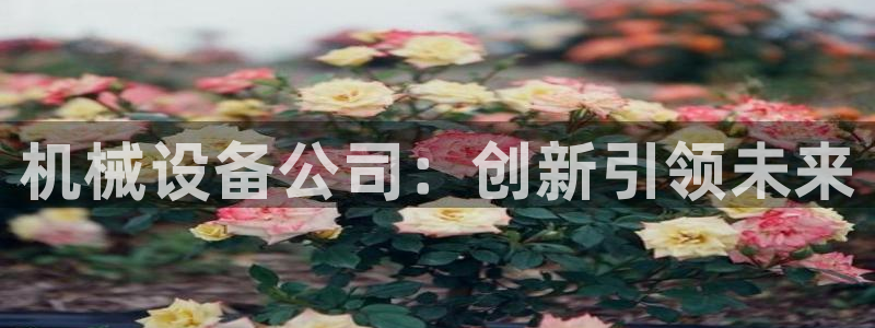 鸿运合拍是什么平台