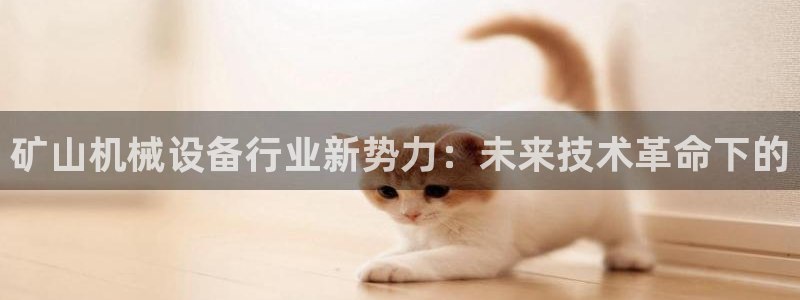 鸿运平台正规吗