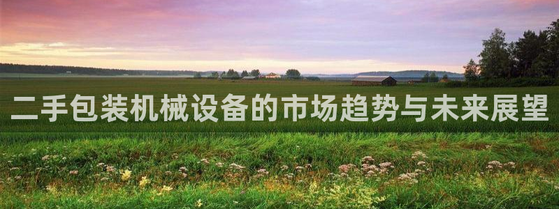 鸿运平台攻略
