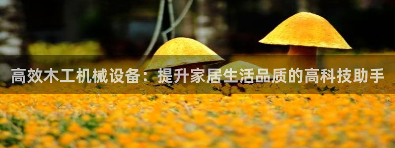 鸿运彩票平台带玩