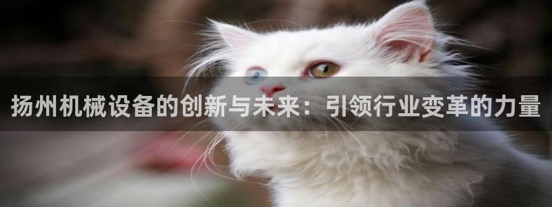 琥珀鸿运平台推广码