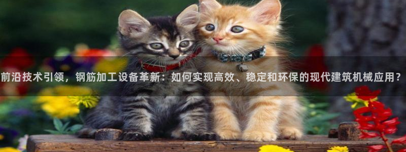 鸿运平台刷投注