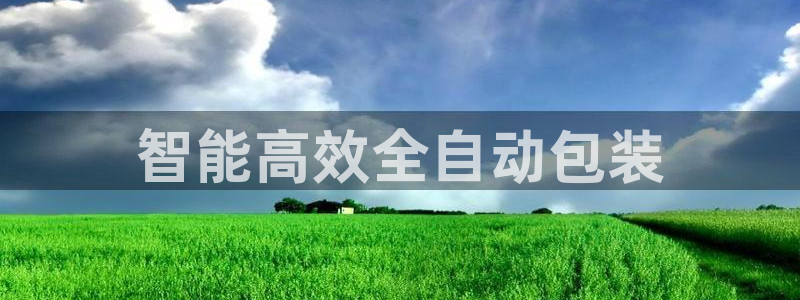 鸿运升降机械平台