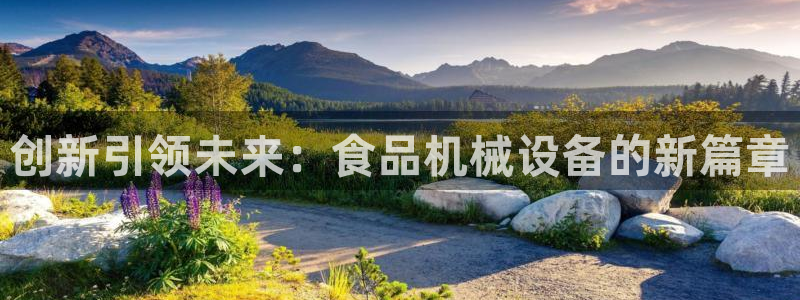 琥珀鸿运彩票平台
