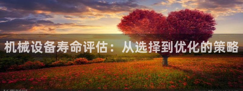 鸿运投资平台是什么平台