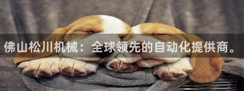 鸿运手机麻将平台