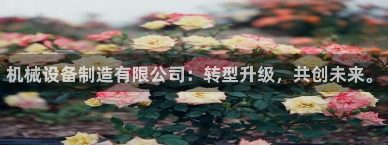 鸿运自助卡密平台