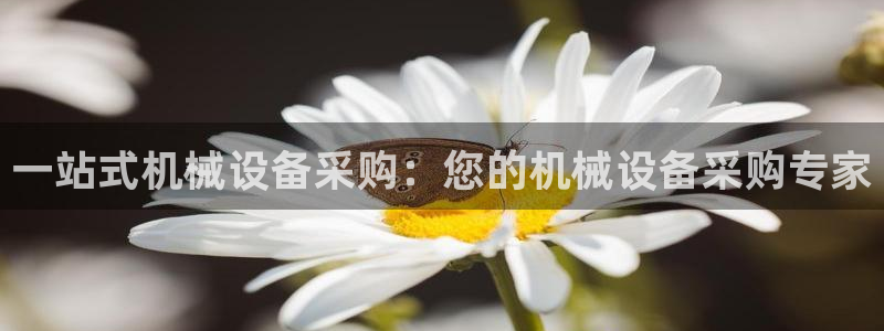 琥珀鸿运平台怎样赚钱的