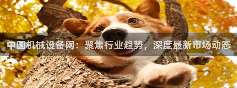 鸿运商通管理平台