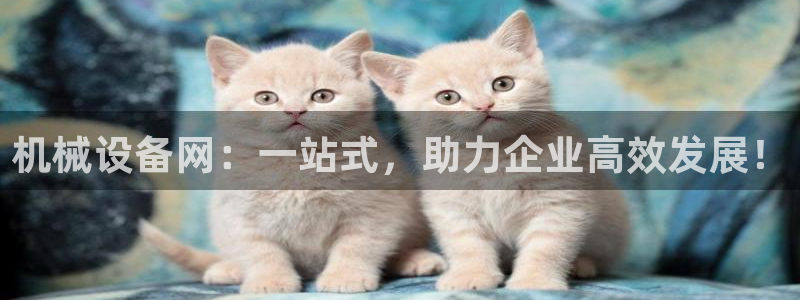 鸿运彩票网络平台