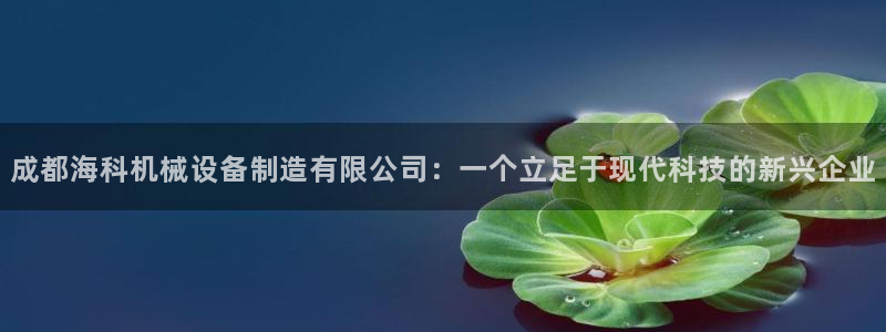 鸿运发卡平台