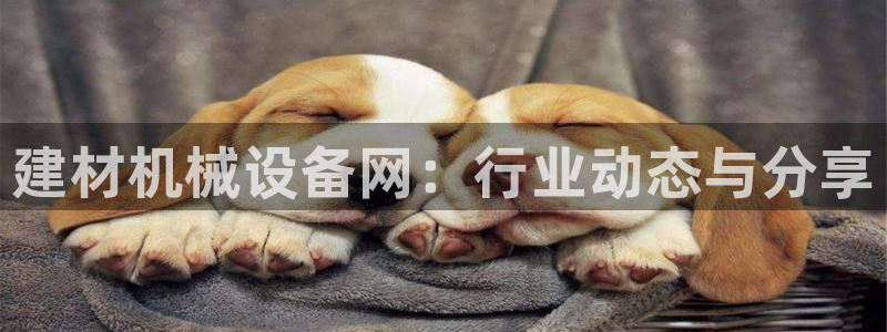 鸿运平台审核需要多久