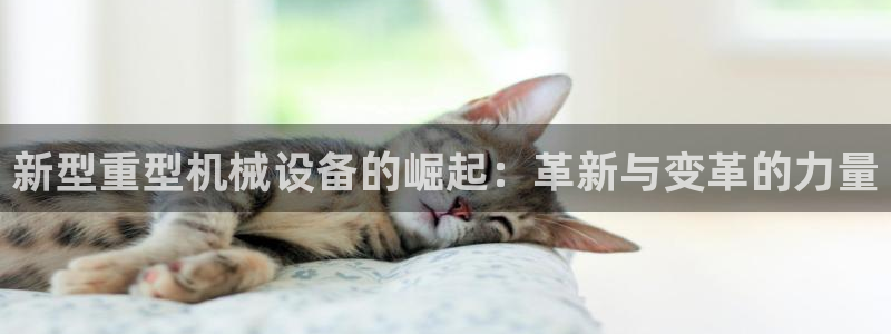 鸿运当头平台