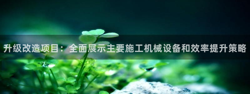 鸿运体育在线平台