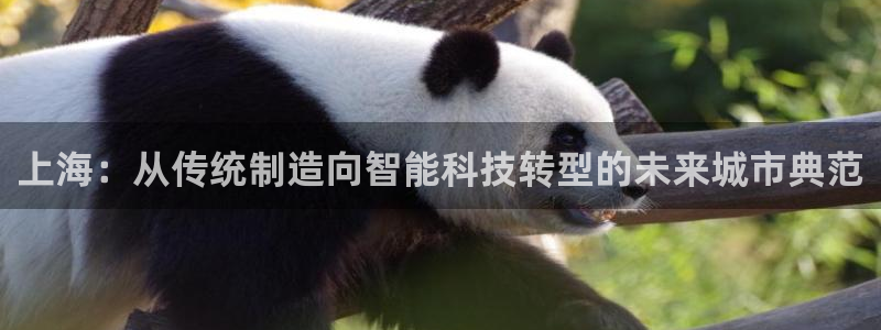 鸿运国际是什么游戏平台