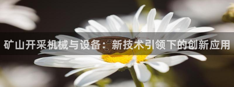 鸿运交易平台