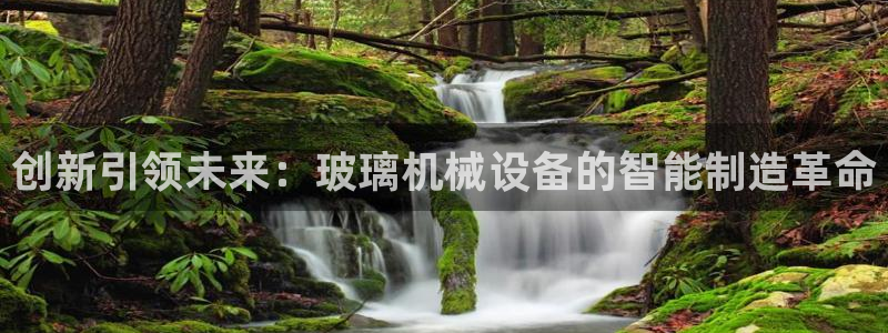 会员鸿运国际平台
