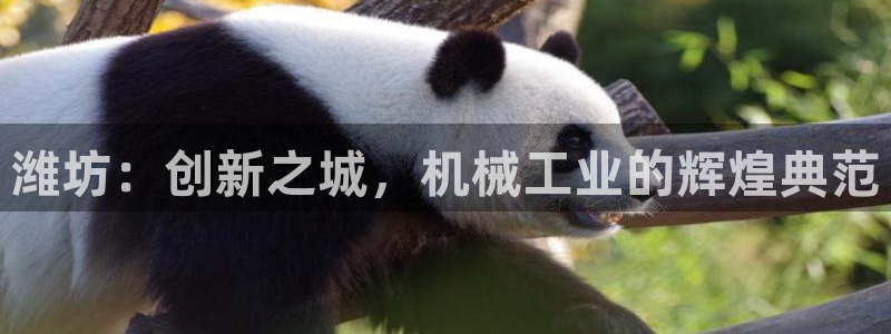 鸿运彩票 的平台