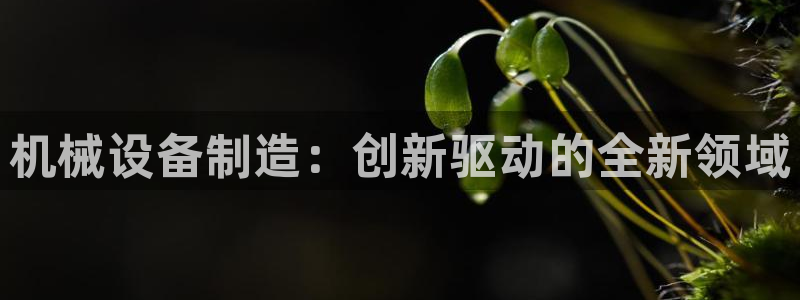 鸿运来平台正规吗