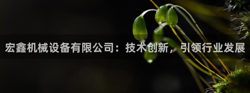 东方鸿运购物平台