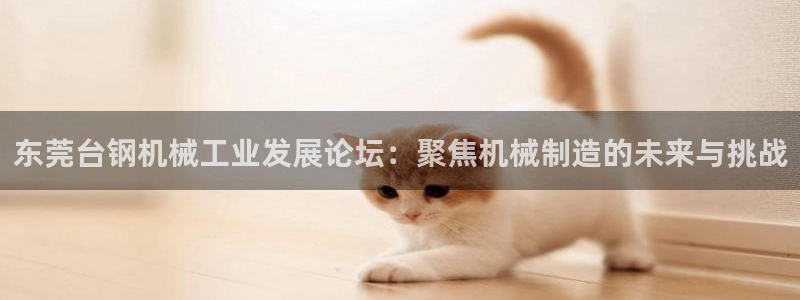 东方阿保鸿运购物平台