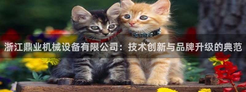 鸿运游戏平台投注