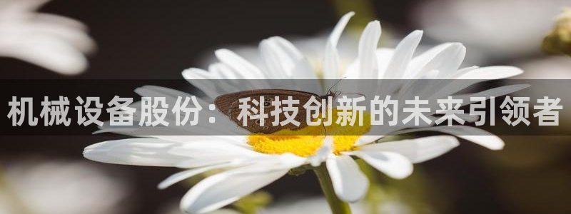 琥珀鸿运诈骗平台