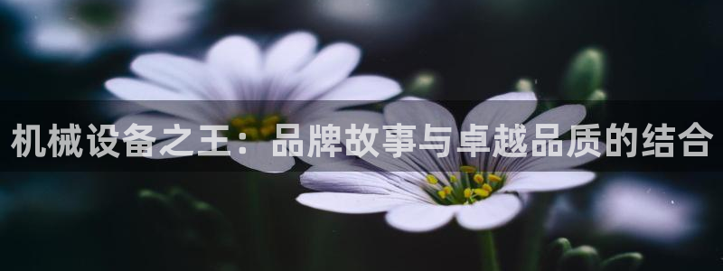鸿运彩票平台正规吗