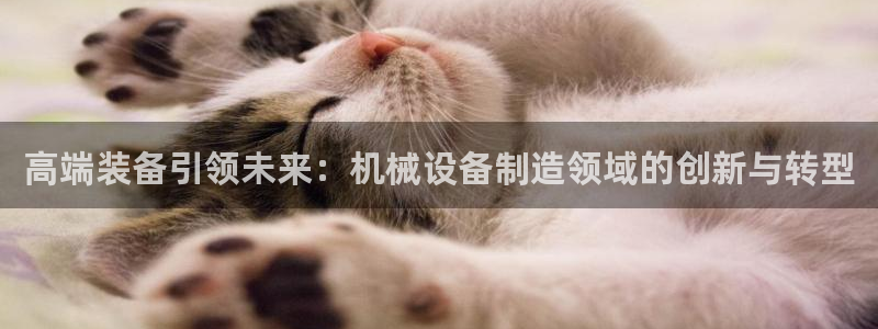 鸿运集团直播平台