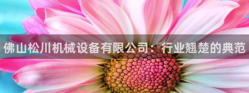鸿运借款是什么平台