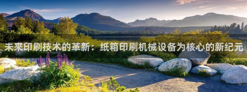 鸿运物流信息平台