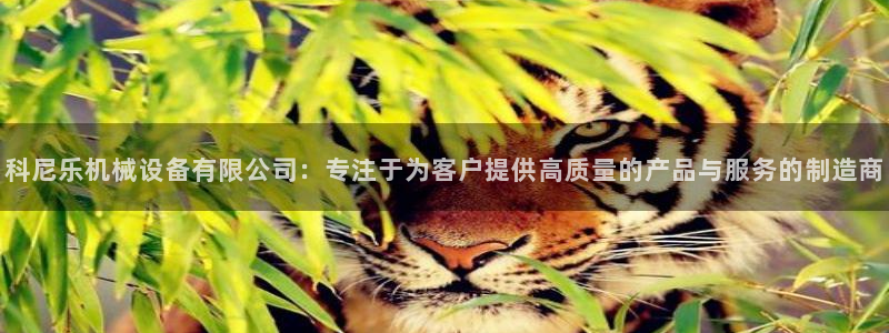 鸿运牛牛投注平台开户