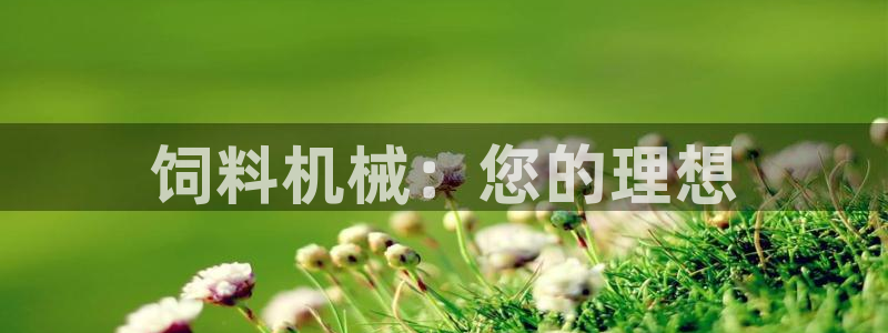 盛世鸿运是什么平台