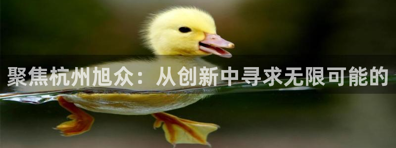 鸿运团队赚钱平台