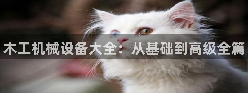 鸿运平台投资诈骗