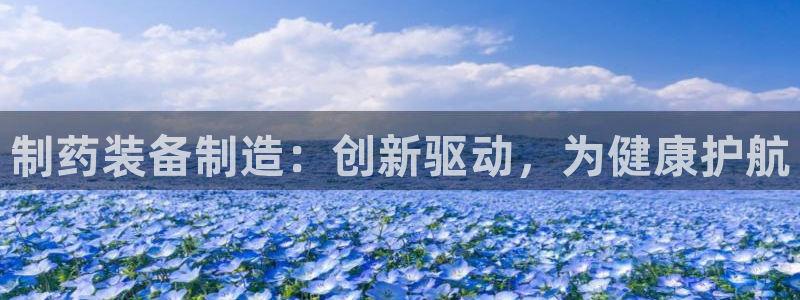 新鸿运股票平台