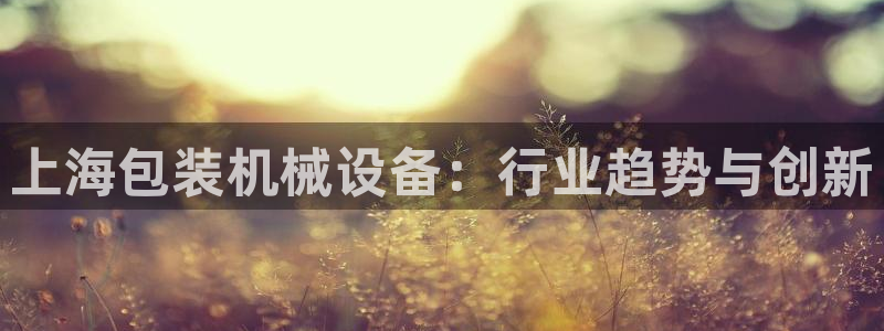 鸿运平台投资诈骗事件