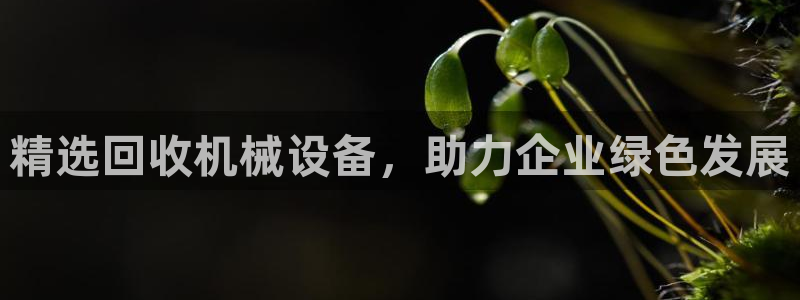 鸿运华宁技术平台