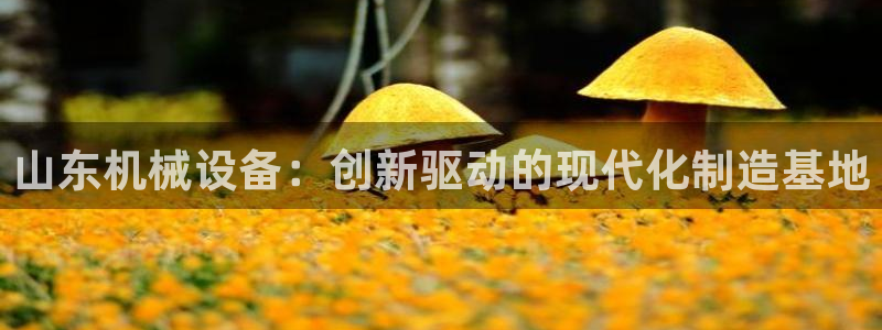 鸿运平台刷投注