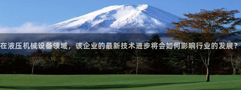 鸿运十三张充值平台