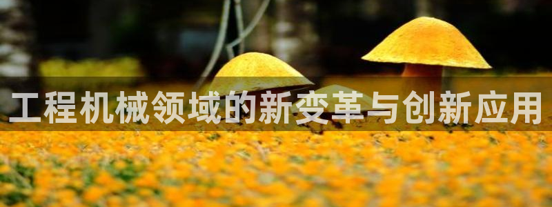 琥珀鸿运平台挣钱真实吗