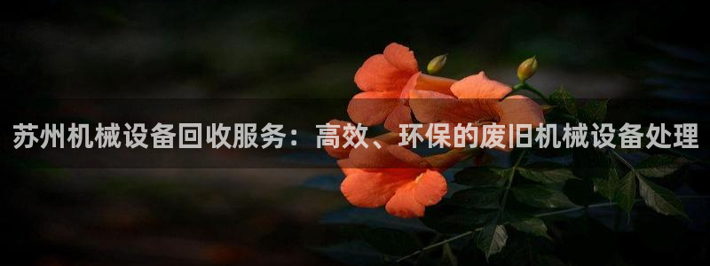 鸿运专业购彩平台