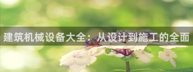 鸿运当头借款平台