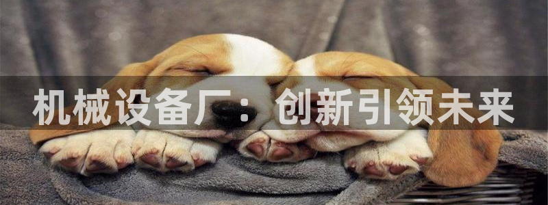 鸿运平台是大平台