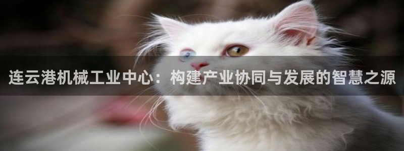 鸿运是什么平台