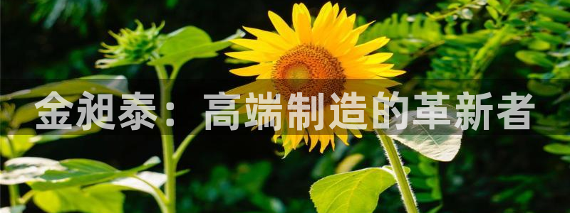 鸿运彩票网络平台